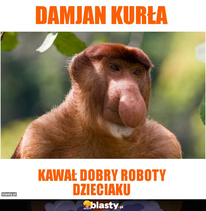 Damjan kurła Damjan kurła