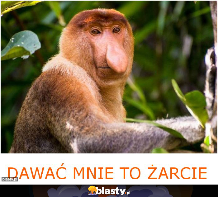 Dawać mnie to żarcie Dawać mnie to żarcie