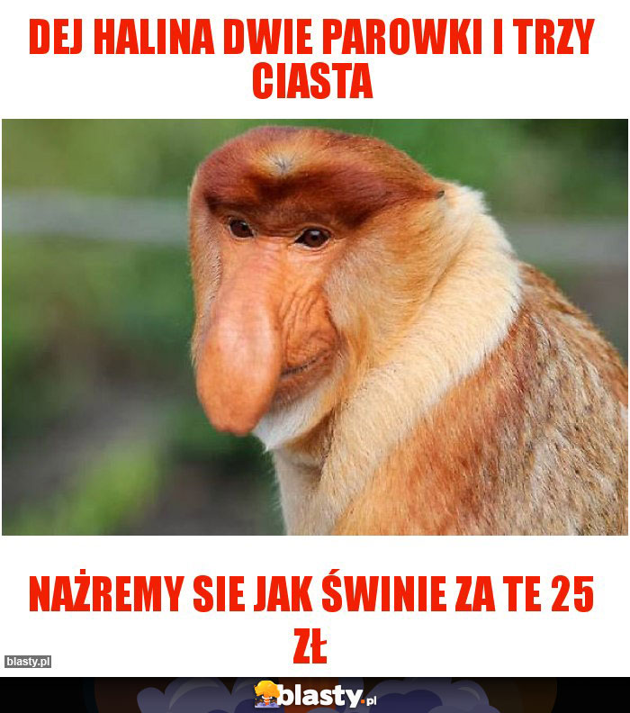 Dej Halina dwie parowki i trzy ciasta Dej Halina dwie parowki i trzy ciasta