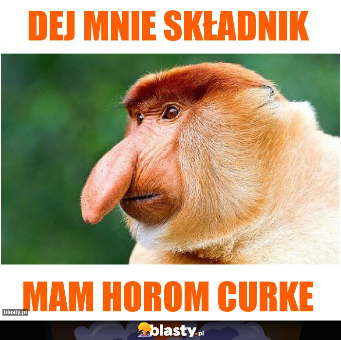dej mnie składnik dej mnie składnik