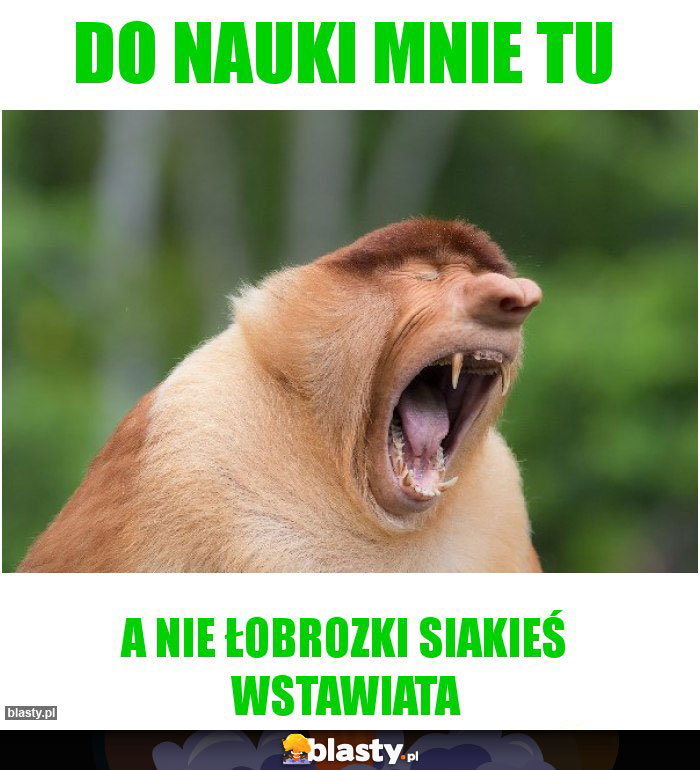Do nauki mnie tu Do nauki mnie tu