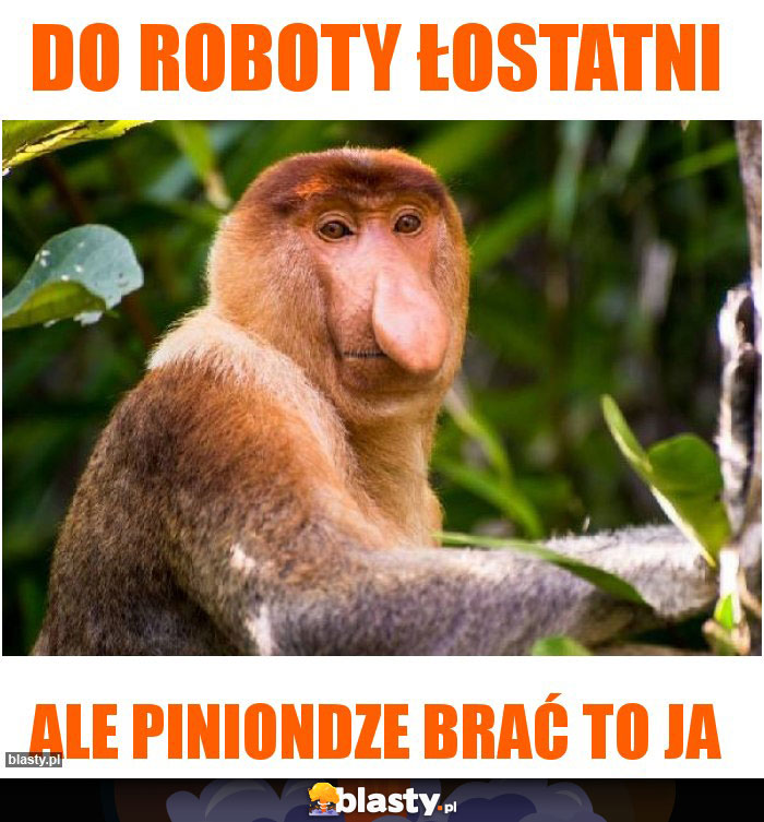do roboty łostatni do roboty łostatni
