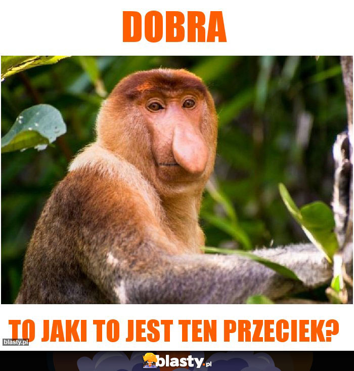 Dobra
