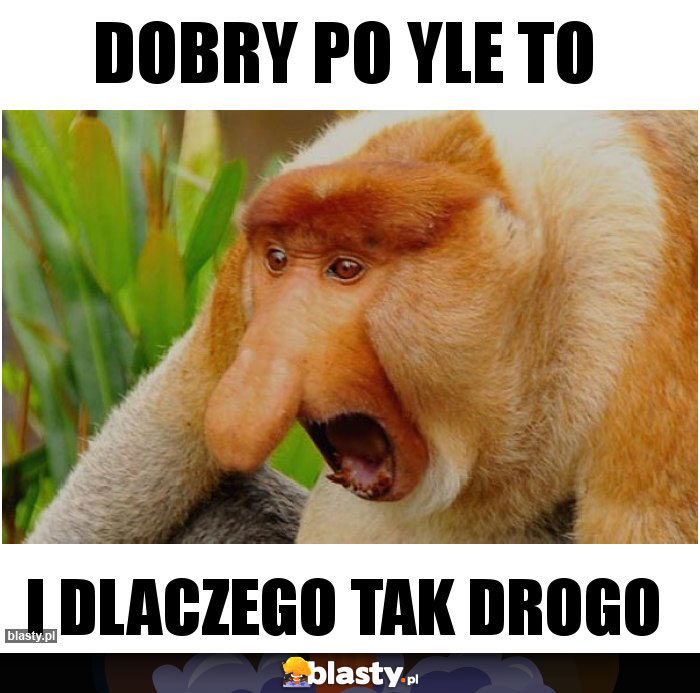 Dobry po yle to Dobry po yle to