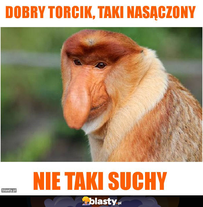 Dobry torcik, taki nasączony Dobry torcik, taki nasączony