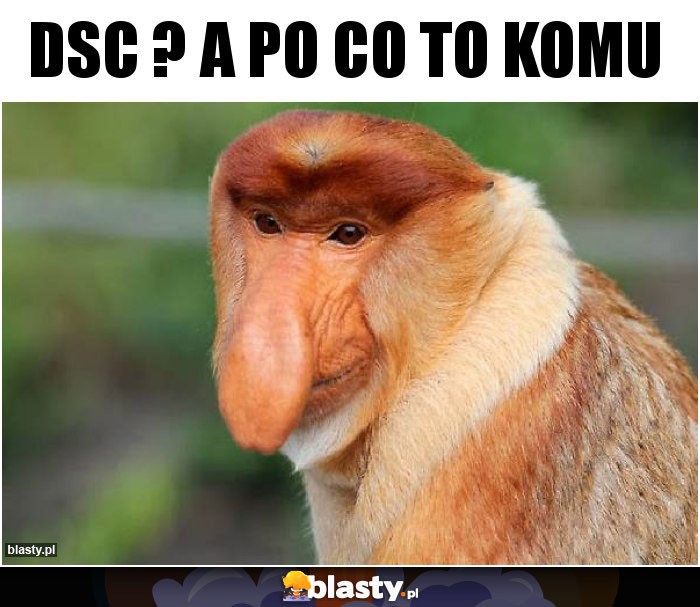 DSC ? a po co to komu DSC ? a po co to komu