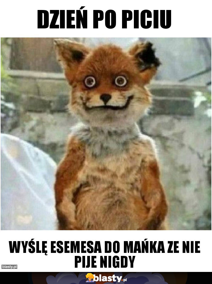 Dzień po piciu Dzień po piciu