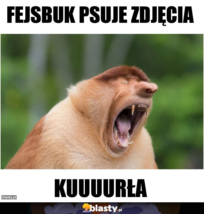 FEJSBUK PSUJE ZDJĘCIA FEJSBUK PSUJE ZDJĘCIA