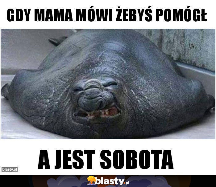 Gdy mama mówi żebyś pomógł