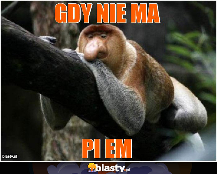 gdy nie ma gdy nie ma