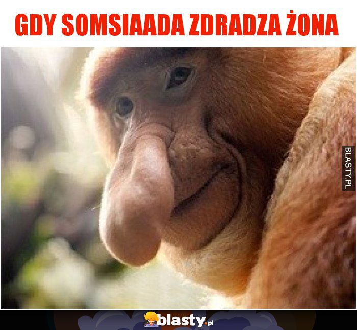 Gdy somsiaada zdradza żona