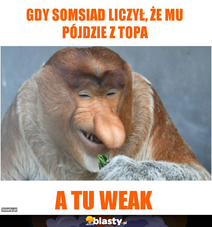 Gdy somsiad liczył, że mu pójdzie z topa Gdy somsiad liczył, że mu pójdzie z topa