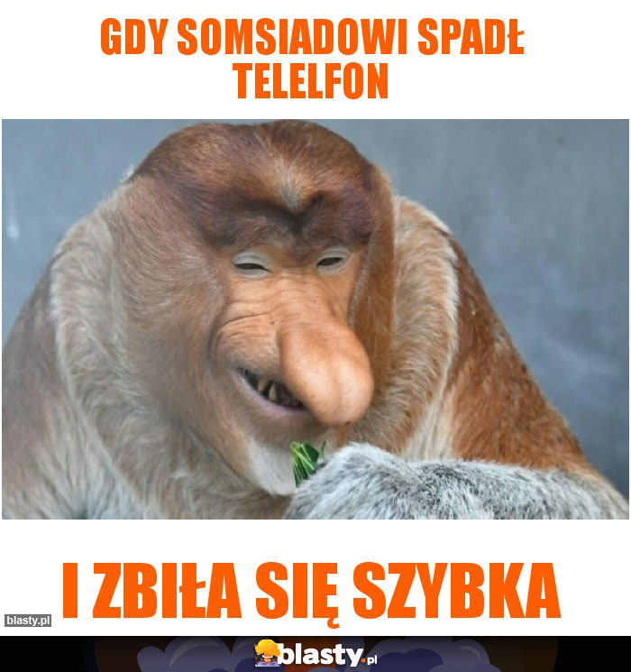 gdy somsiadowi spadł telelfon gdy somsiadowi spadł telelfon