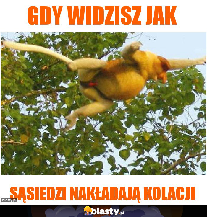Gdy widzisz jak Gdy widzisz jak