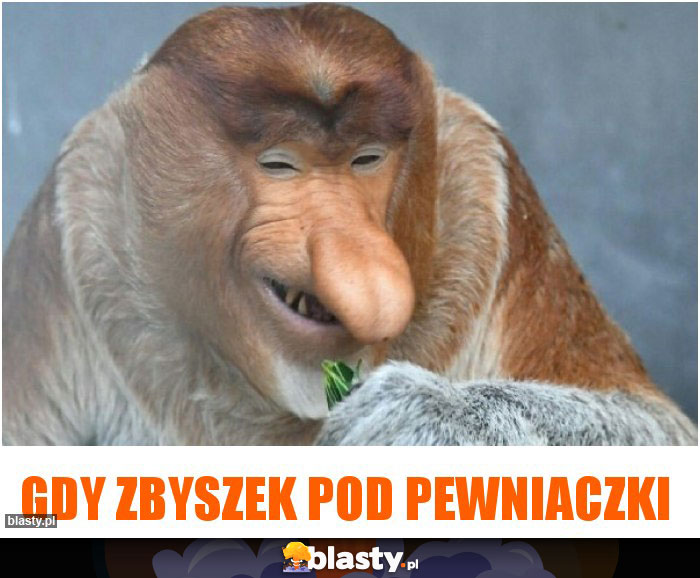 Gdy Zbyszek pod pewniaczki Gdy Zbyszek pod pewniaczki