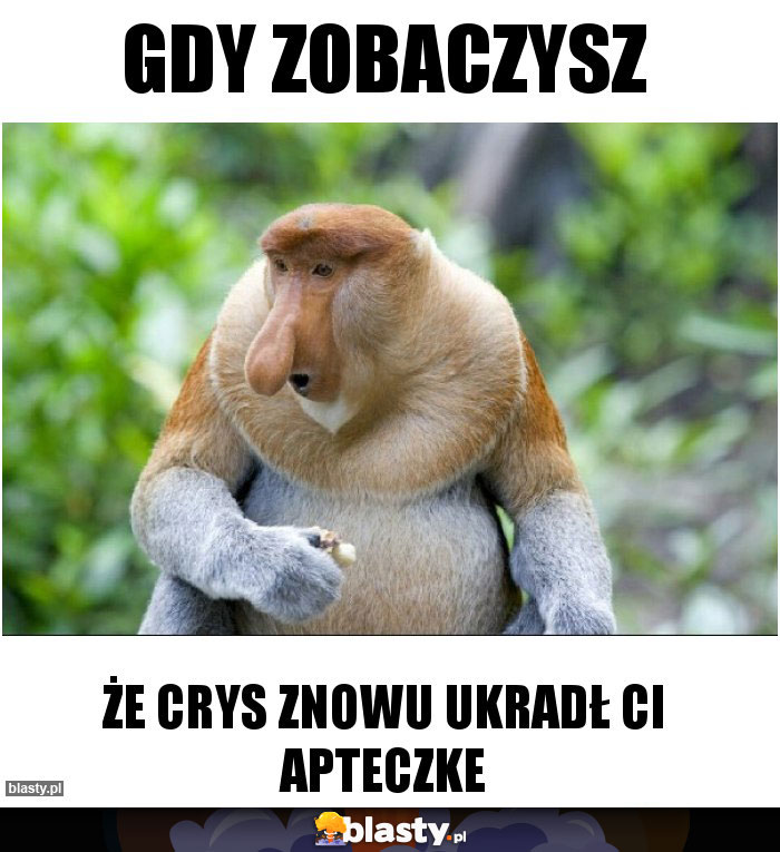 GDY ZOBACZYSZ GDY ZOBACZYSZ