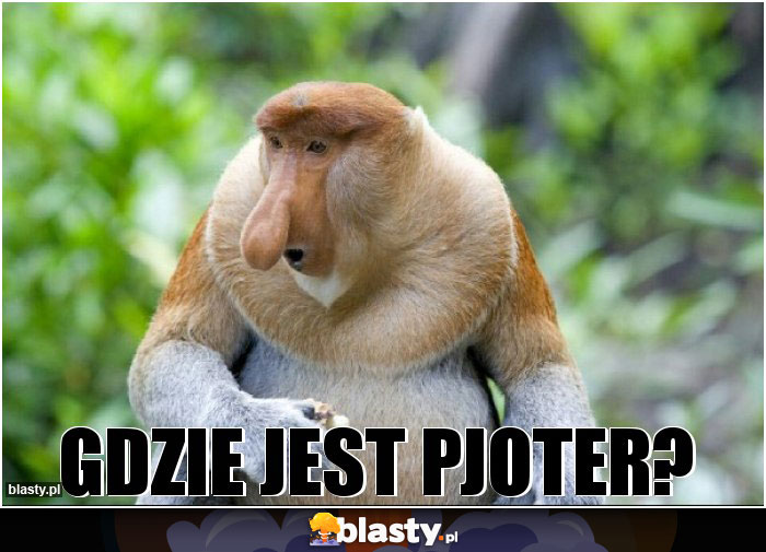 GDZIE JEST PJOTER? GDZIE JEST PJOTER?