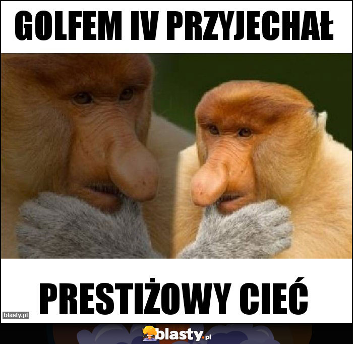 Golfem IV przyjechał Golfem IV przyjechał