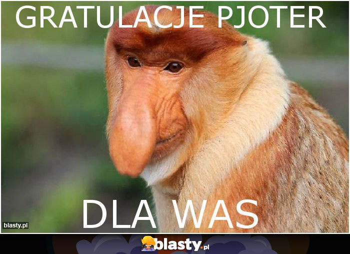 GRATULACJE PJOTER GRATULACJE PJOTER