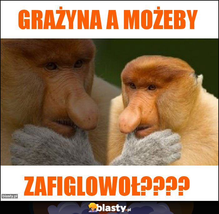 Grażyna a możeby Grażyna a możeby
