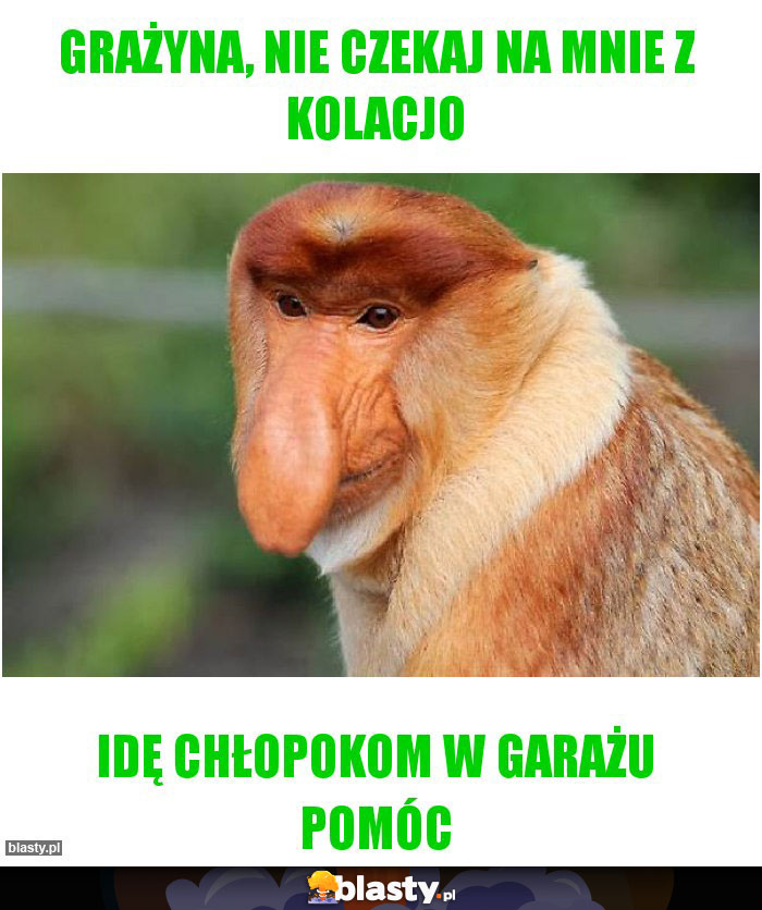 Grażyna, nie czekaj na mnie z kolacjo Grażyna, nie czekaj na mnie z kolacjo