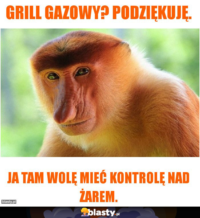 Grill gazowy? Podziękuję. Grill gazowy? Podziękuję.