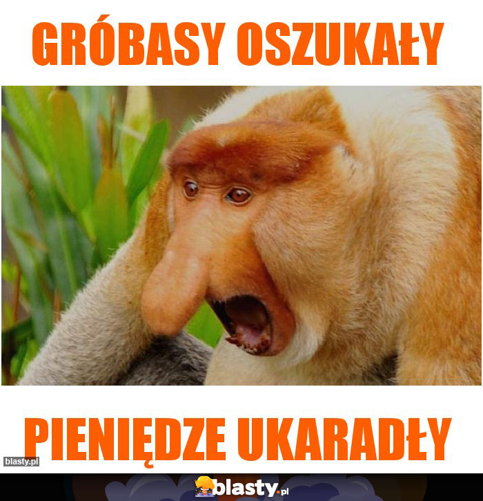 gróbasy oszukały gróbasy oszukały