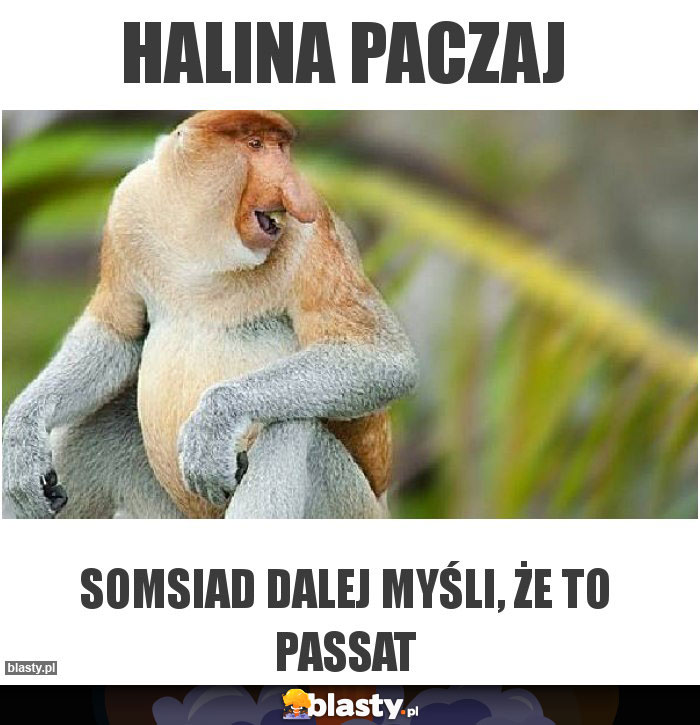 Halina paczaj Halina paczaj