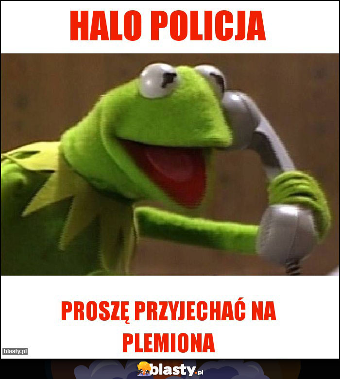 HALO POLICJA HALO POLICJA