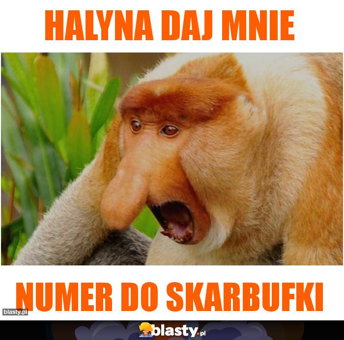 Halyna daj mnie Halyna daj mnie