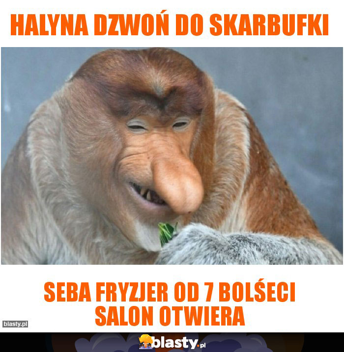 Halyna dzwoń do skarbufki Halyna dzwoń do skarbufki