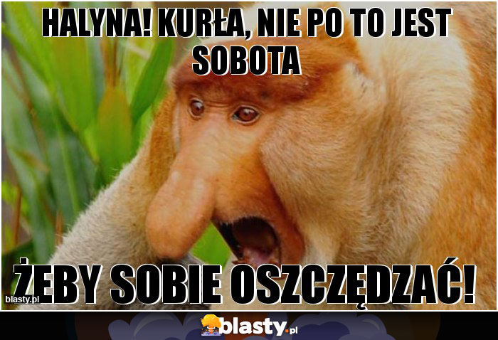 halyna! kurła, nie po to jest sobota halyna! kurła, nie po to jest sobota