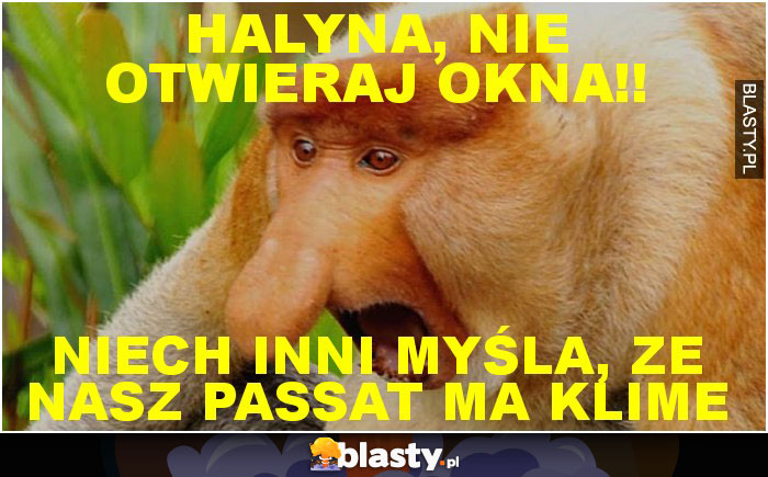 HALYNA, NIE OTWIERAJ OKNA!! HALYNA, NIE OTWIERAJ OKNA!!