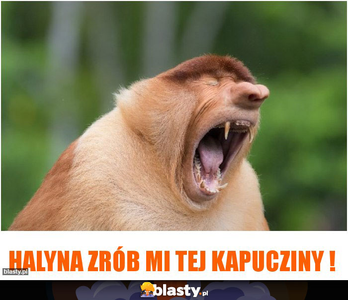 Halyna zrób mi tej kapucziny ! Halyna zrób mi tej kapucziny !