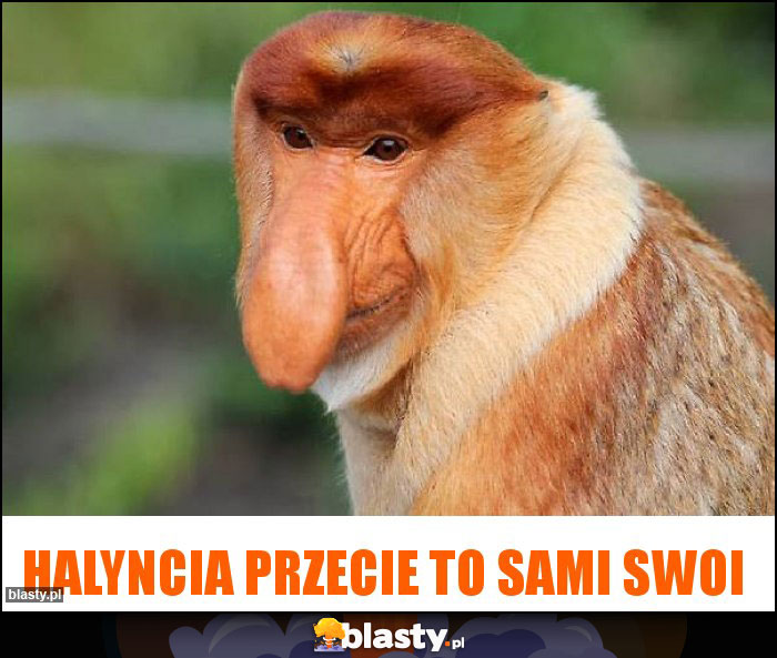 Halyncia przecie to sami swoi Halyncia przecie to sami swoi