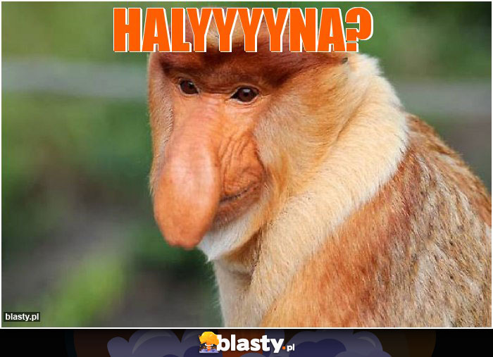 Halyyyyna? Halyyyyna?