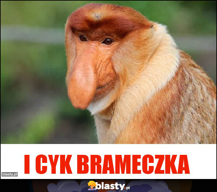 I cyk brameczka I cyk brameczka