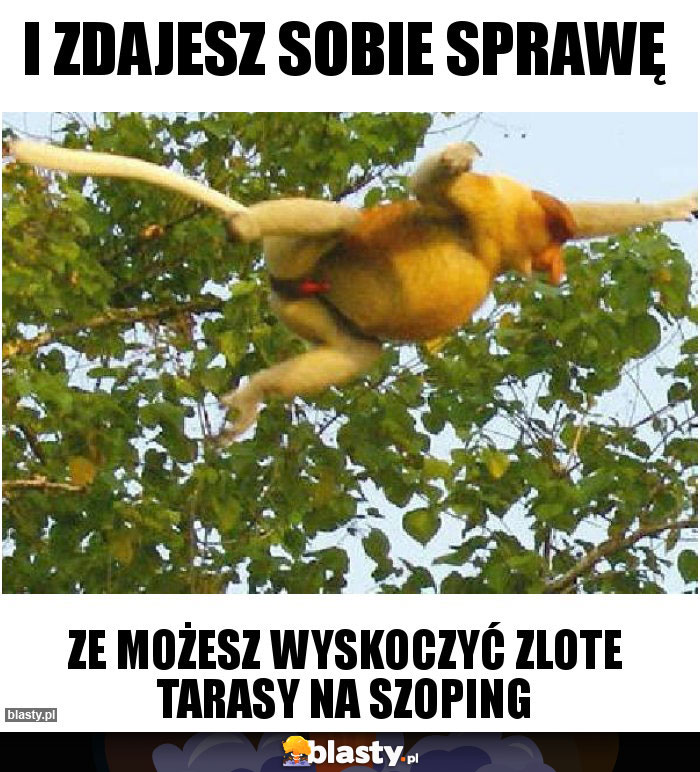I zdajesz sobie sprawę I zdajesz sobie sprawę