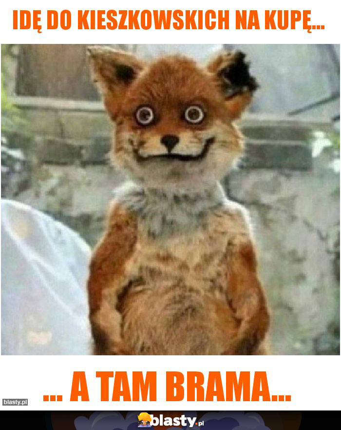 Idę do kieszkowskich na kupę... Idę do kieszkowskich na kupę...