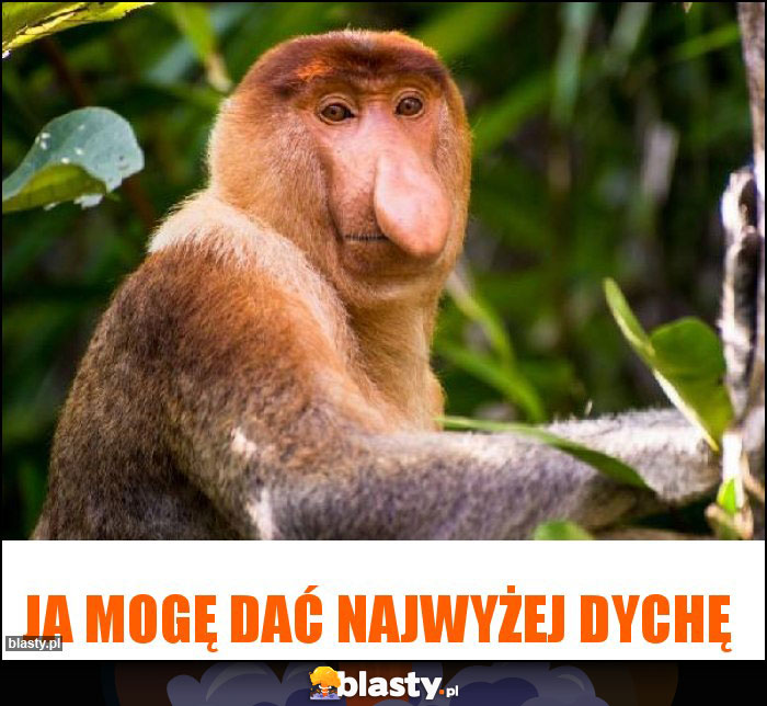 Ja mogę dać najwyżej dychę Ja mogę dać najwyżej dychę