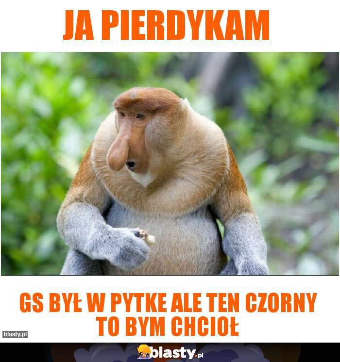 Ja pierdykam Ja pierdykam