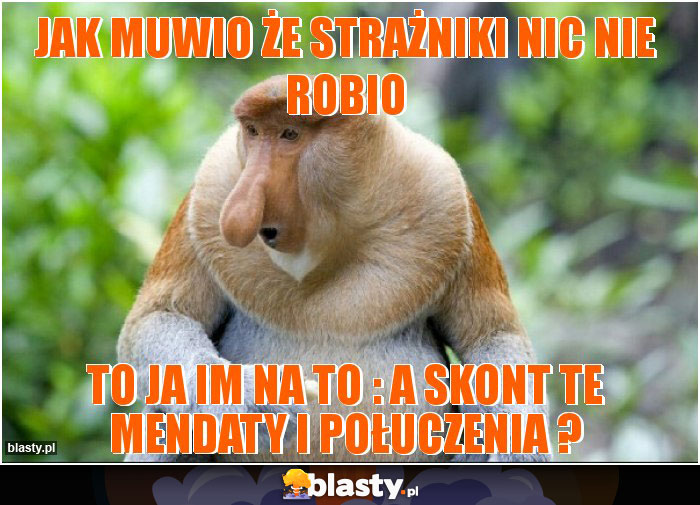 Jak muwio że strażniki nic nie robio Jak muwio że strażniki nic nie robio