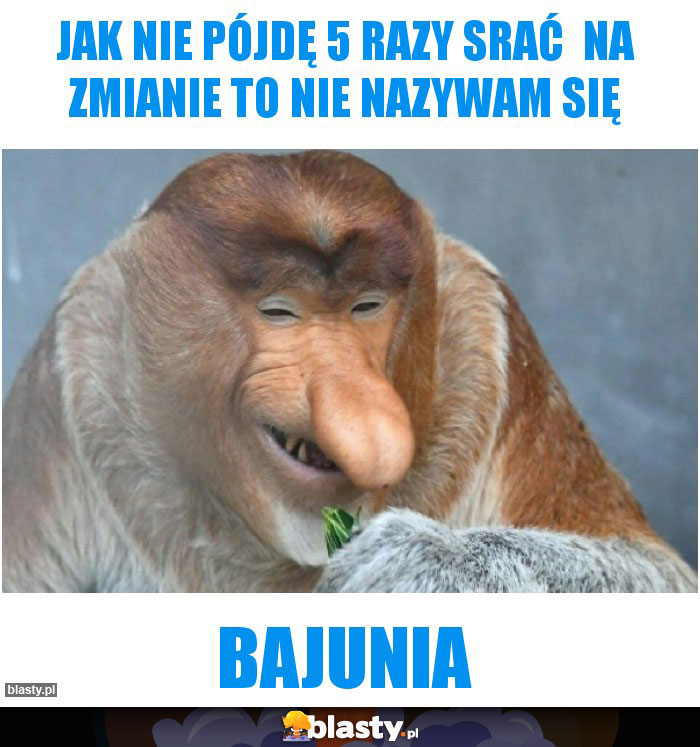 Jak nie pójdę 5 razy srać na zmianie To nie nazywam się Jak nie pójdę 5 razy srać na zmianie To nie nazywam się