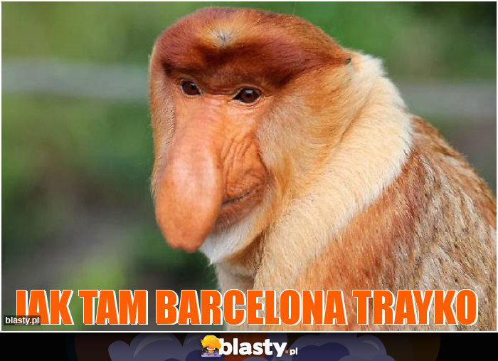 JAK tam barcelona Trayko JAK tam barcelona Trayko