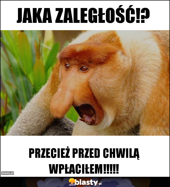 Jaka zaległość!? Jaka zaległość!?