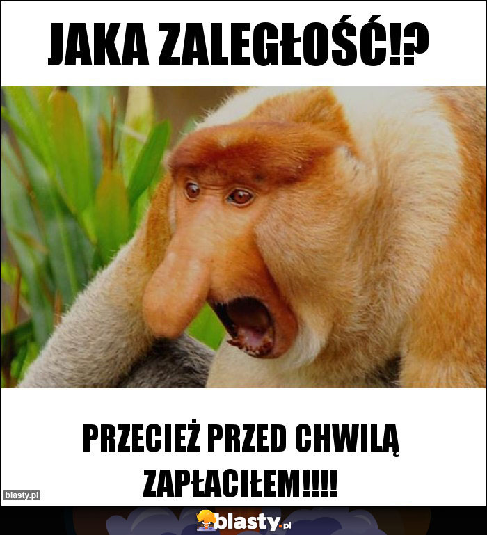 Jaka zaległość!? Jaka zaległość!?