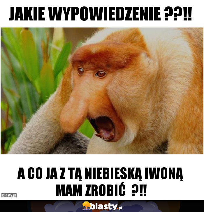 Jakie wypowiedzenie ??!! Jakie wypowiedzenie ??!!