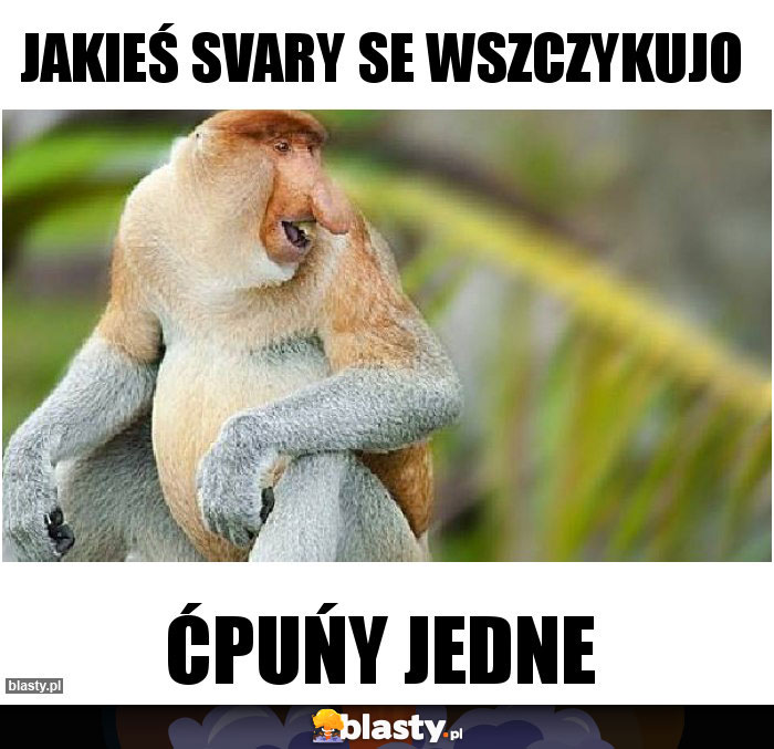 jakieś svary se wszczykujo jakieś svary se wszczykujo