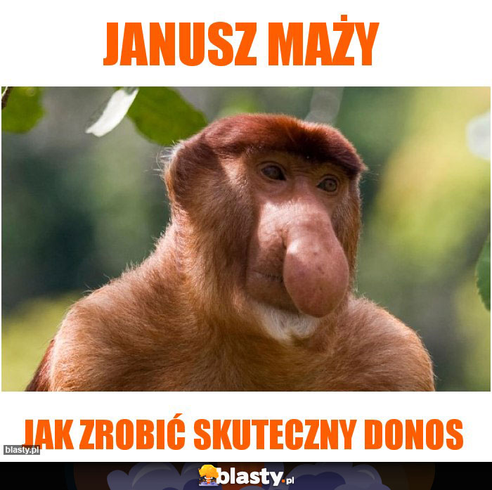 janusz maży janusz maży