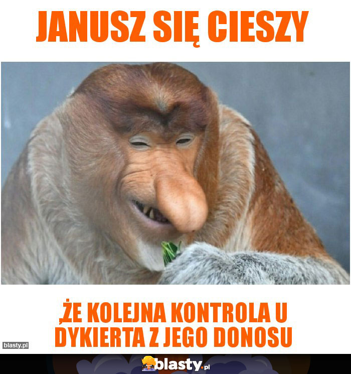 JANusz się cieszy JANusz się cieszy